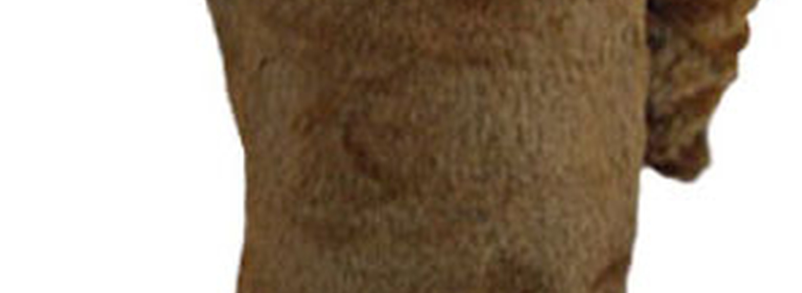 Как использовать ростовую куклу для обыгрывания детской песенки про бобра