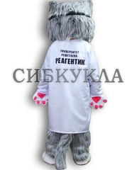 Ростовая кукла кот Химик