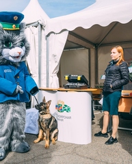 Ростовая кукла Кот Серый