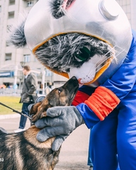 Ростовая кукла Кот Серый