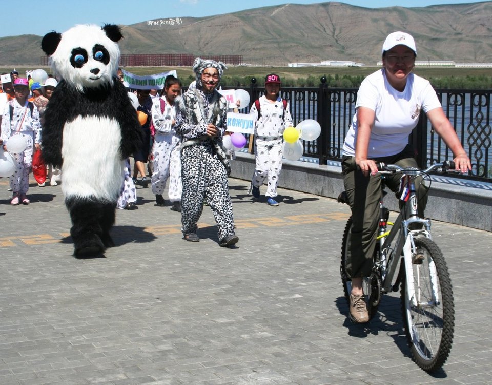 Панда в Кызыле